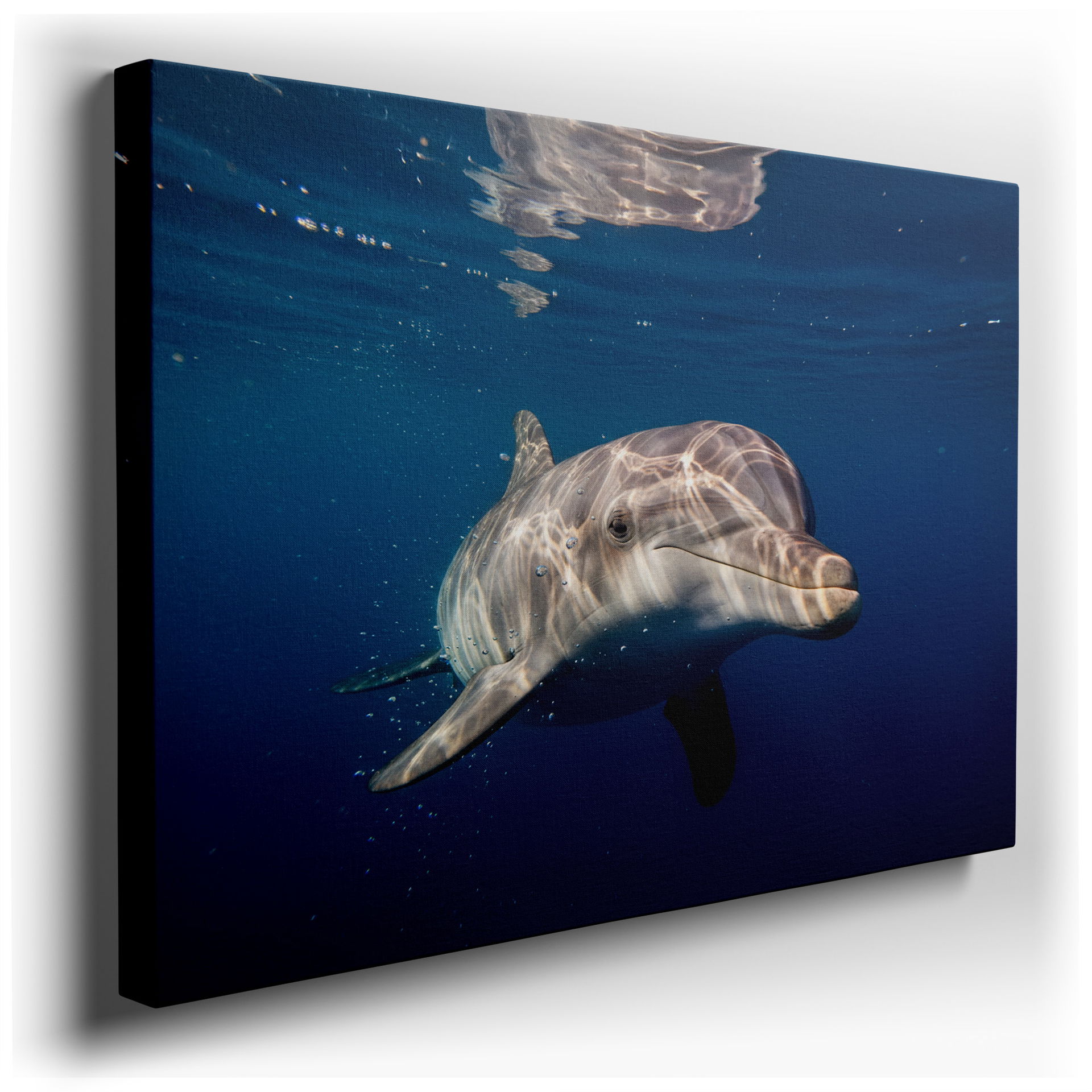 A captivating wall art print captures a dolphin swimming in clear blue water, sunlight dancing on its skin.