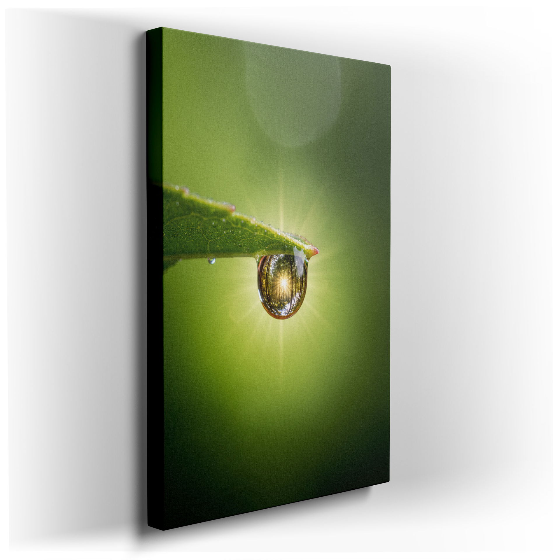A raindrop captures a forest reflection, dew clings to a green leaf; captivating nature wall art.