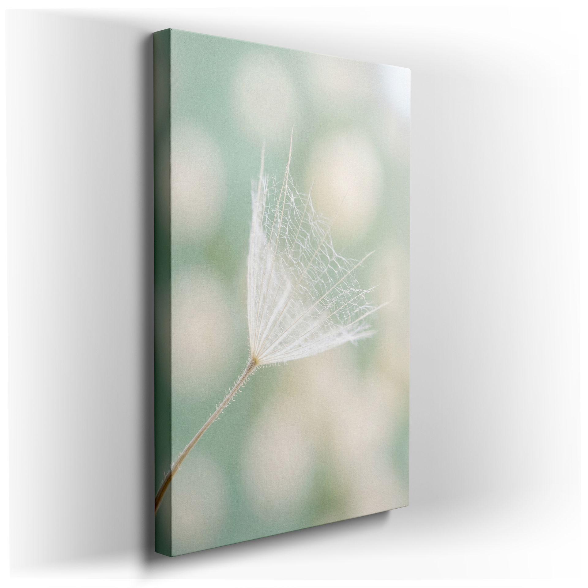Intricate close-up of a dandelion seed featured as wall art, with a soft, dreamy aesthetic.