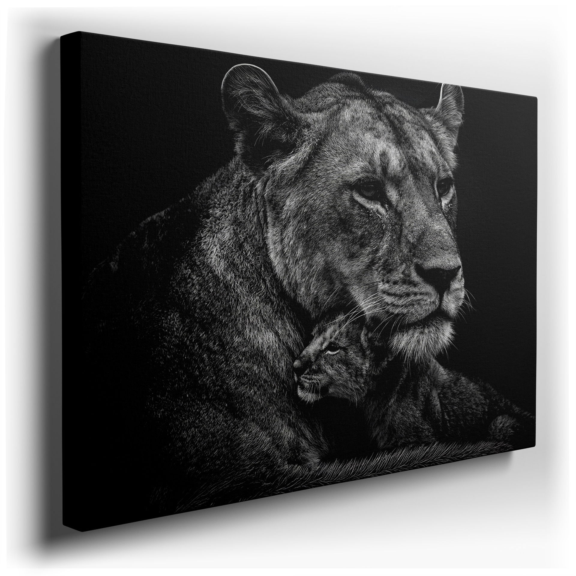 Monochrome image: Lioness embraces her cub, a tender scene brought to life as artistic wall art.