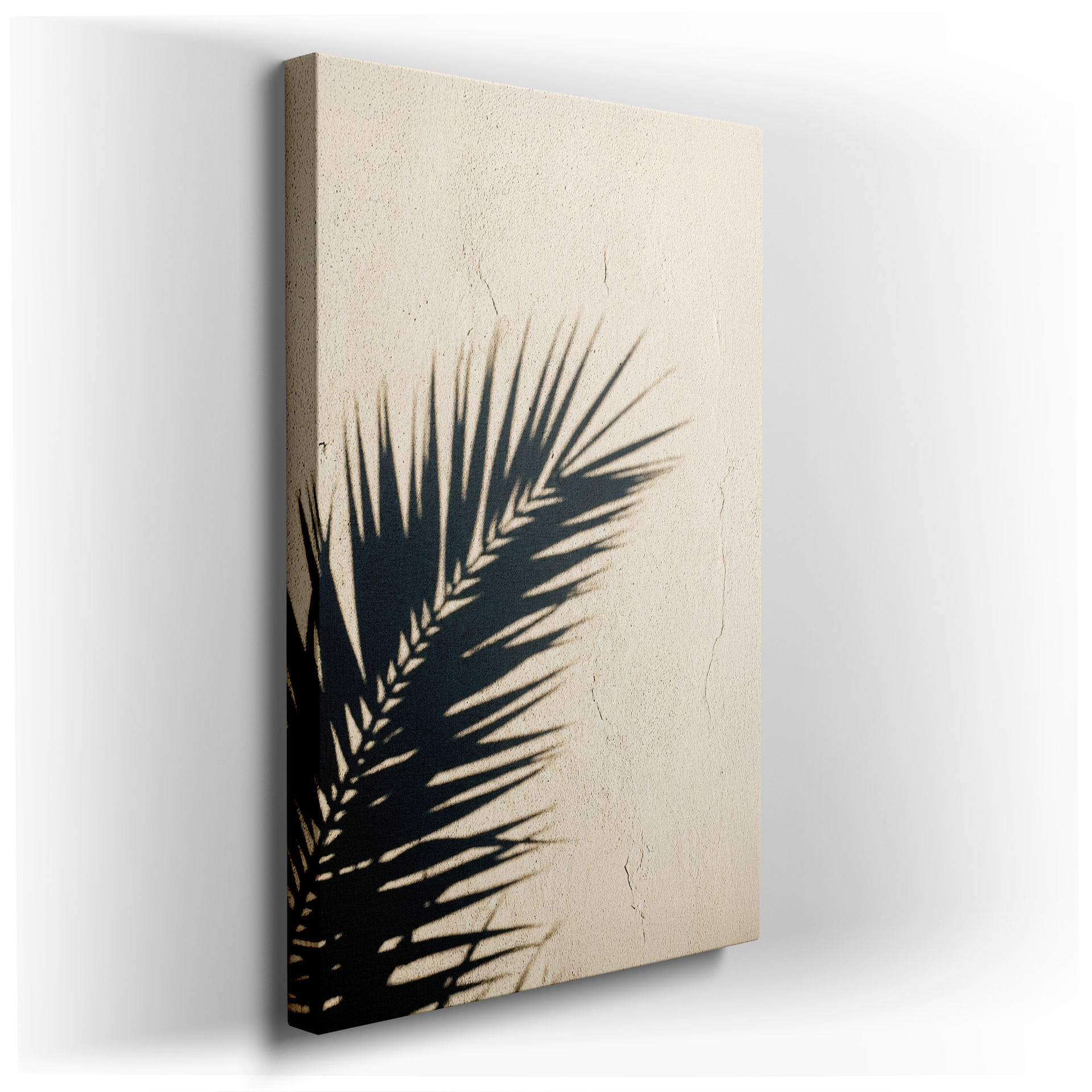 Shadow of a palm frond creates a minimalist tropical design for unique wall art.