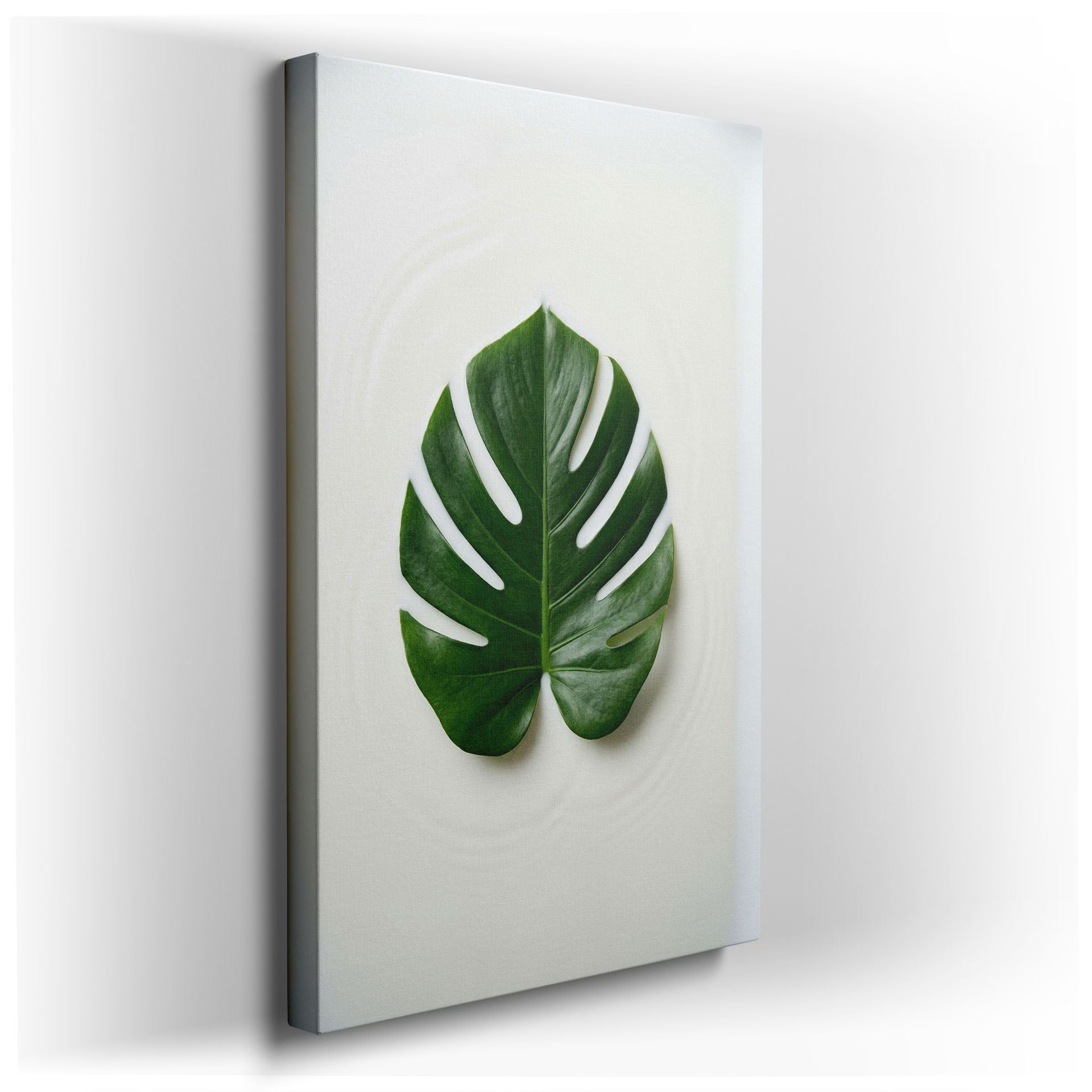 Close-up of a Monstera leaf on white, offered as stylish wall art.