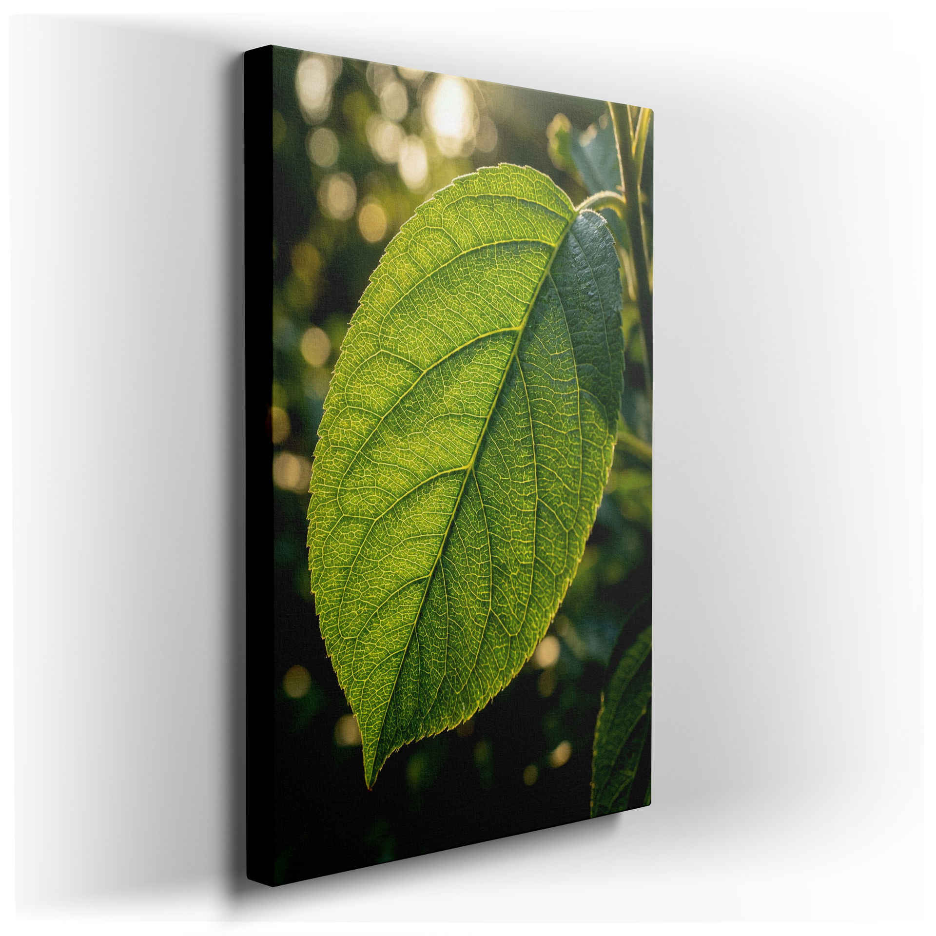 Detailed close-up of a translucent green leaf, showcasing its intricate veins. A captivating nature wall art design for wall art.