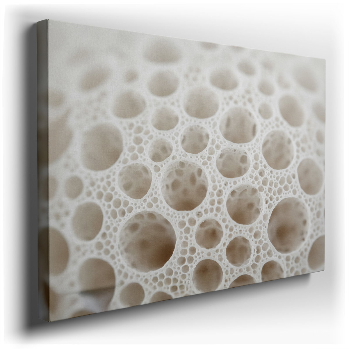 Delicate Perforations - Modern Minimalist Canvas Wall Art