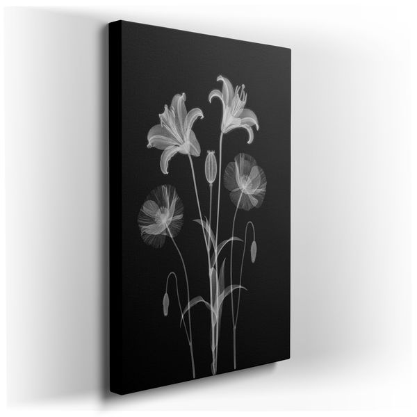 Ethereal X-Ray Flowers - Modern Botanical Canvas Wall Art
