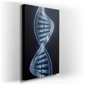 Abstract DNA Structure - Modern Science Canvas Wall Art