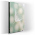 Delicate Dandelion Seed Macro - Nature Canvas Wall Art