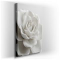 Elegant White Rose - Floral Canvas Wall Art