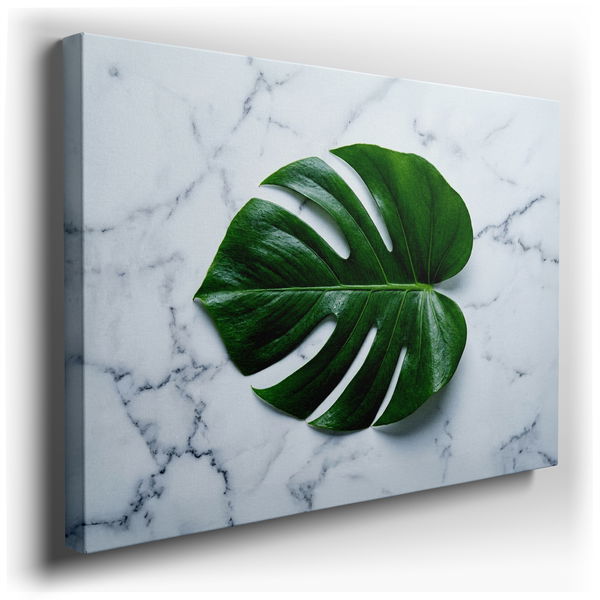 Monstera Leaf on Marble Canvas Art for Botanical Decor