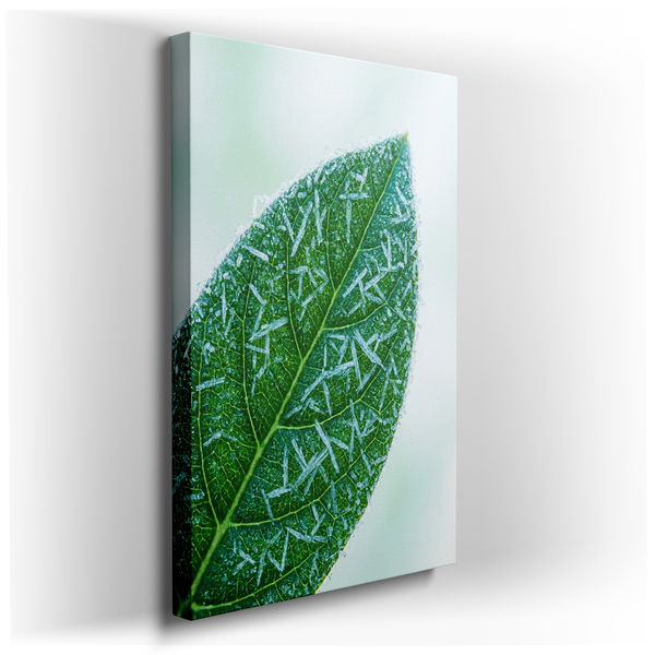 Frosted Leaf Close-Up - Nature Inspired Canvas Wall Art
