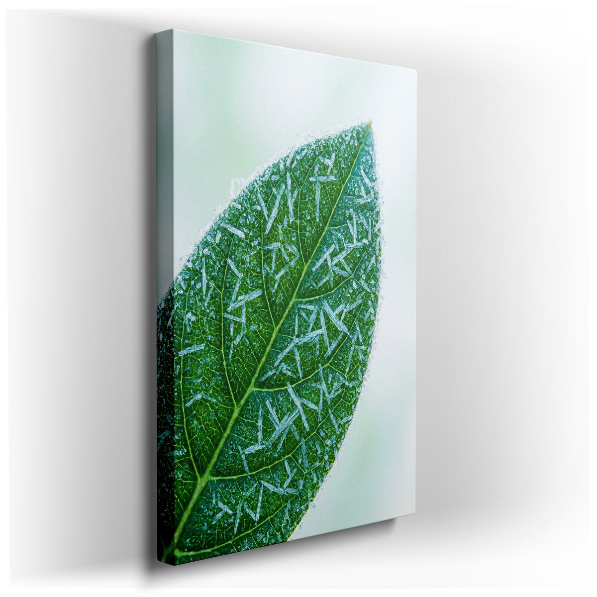 Frosted Leaf Close-Up - Nature Inspired Canvas Wall Art