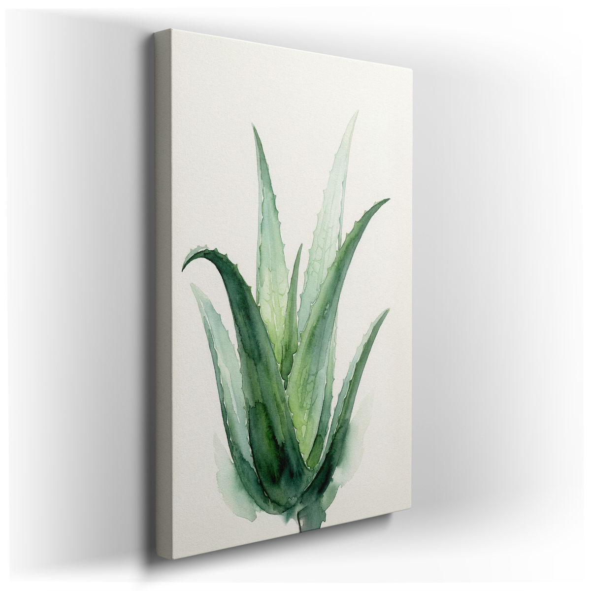 Aloe Vera Watercolor Painting - Botanical Canvas Wall Art