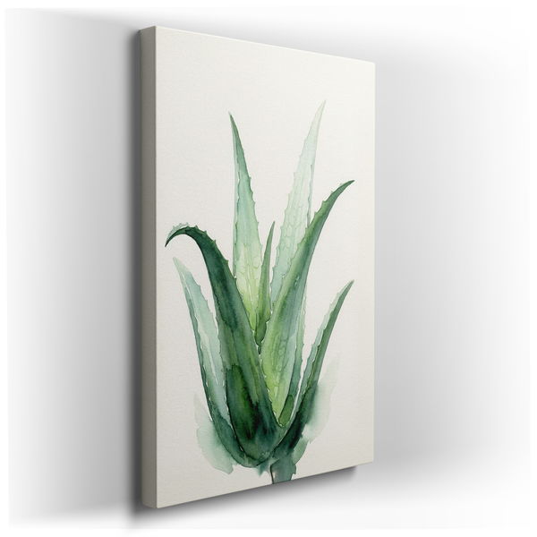 Aloe Vera Watercolor Painting - Botanical Canvas Wall Art