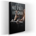 No Pain No Gain Gym Motivation Canvas Wall Art
