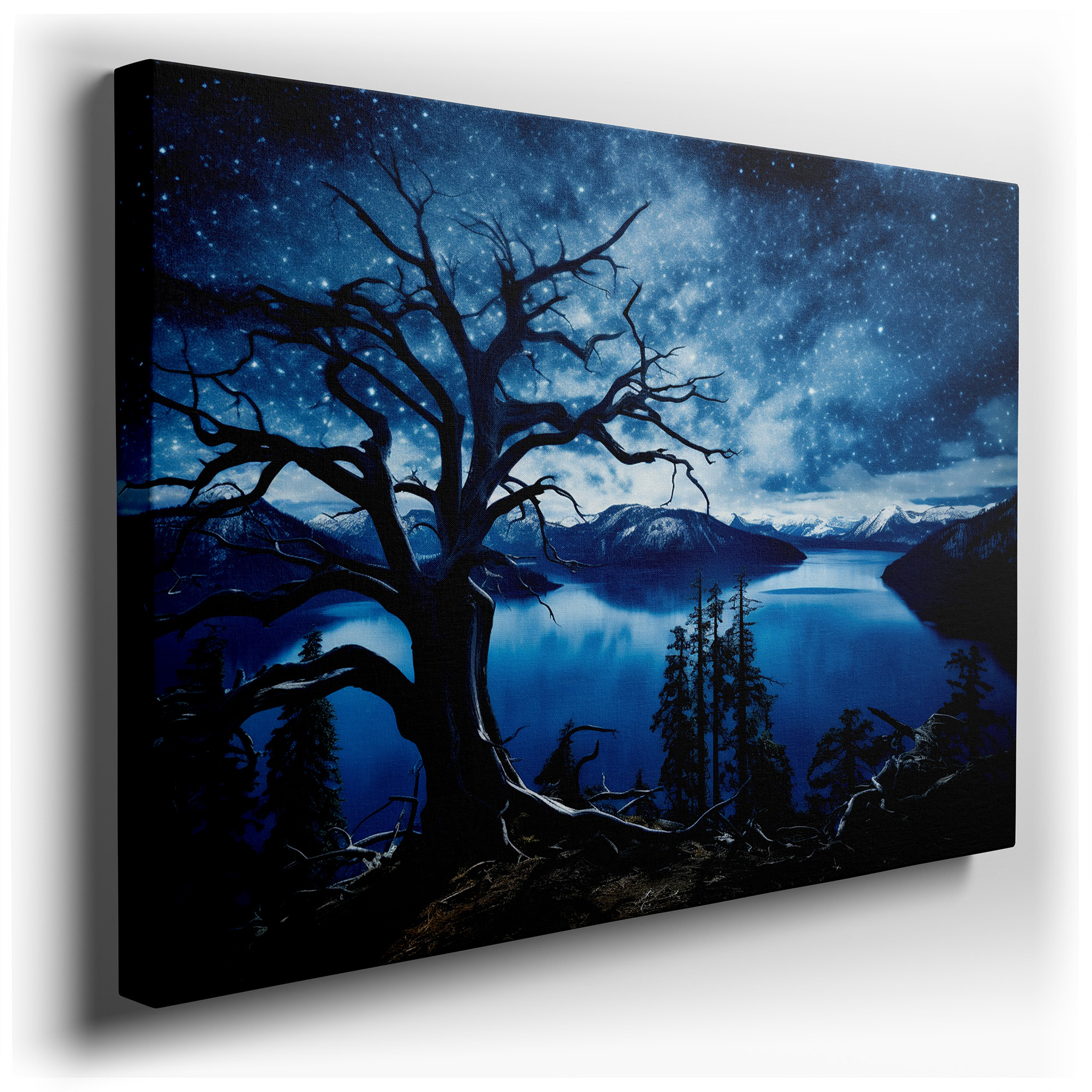 Ancient Tree Silhouette Against a Starry Sky with Tranquil Lake Reflection Large Wall Art, Canvas Wall Art, Wall Decor