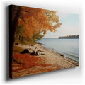 Autumn Lakeside Reflections - Tranquil Canvas Wall Art