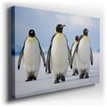 Emperor Penguins - Nature's Tranquility Canvas Wall Art