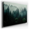 Enchanted Evergreens in Mist - Tranquil Nature Canvas Wall Art