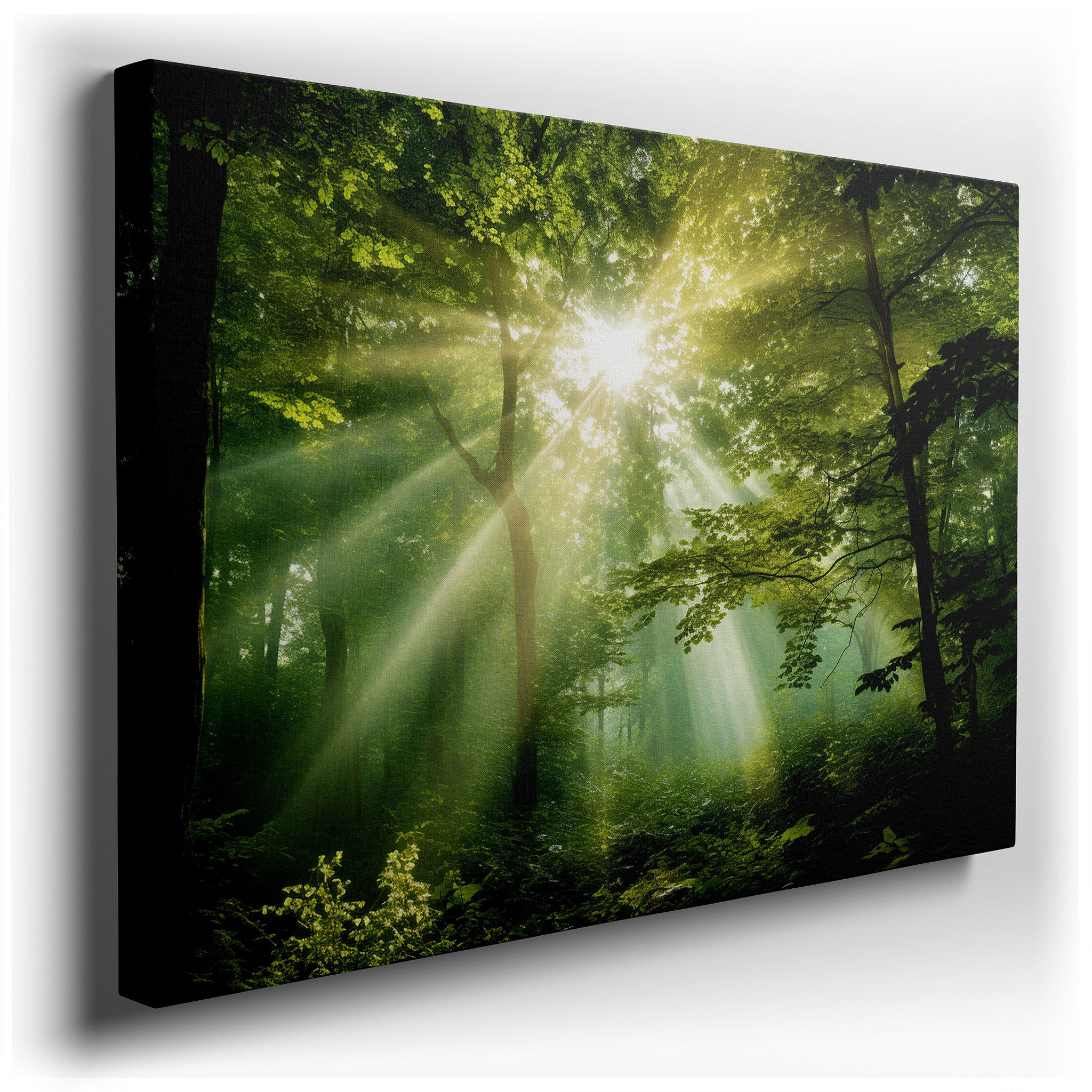 Enchanted Forest Canopy Bathed in Sunlight's Golden Glow - Large Canvas Wall Art for Office, Bedroom, and Living Room