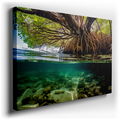 Enchanted Mangrove Realm Coastal Wall Art
