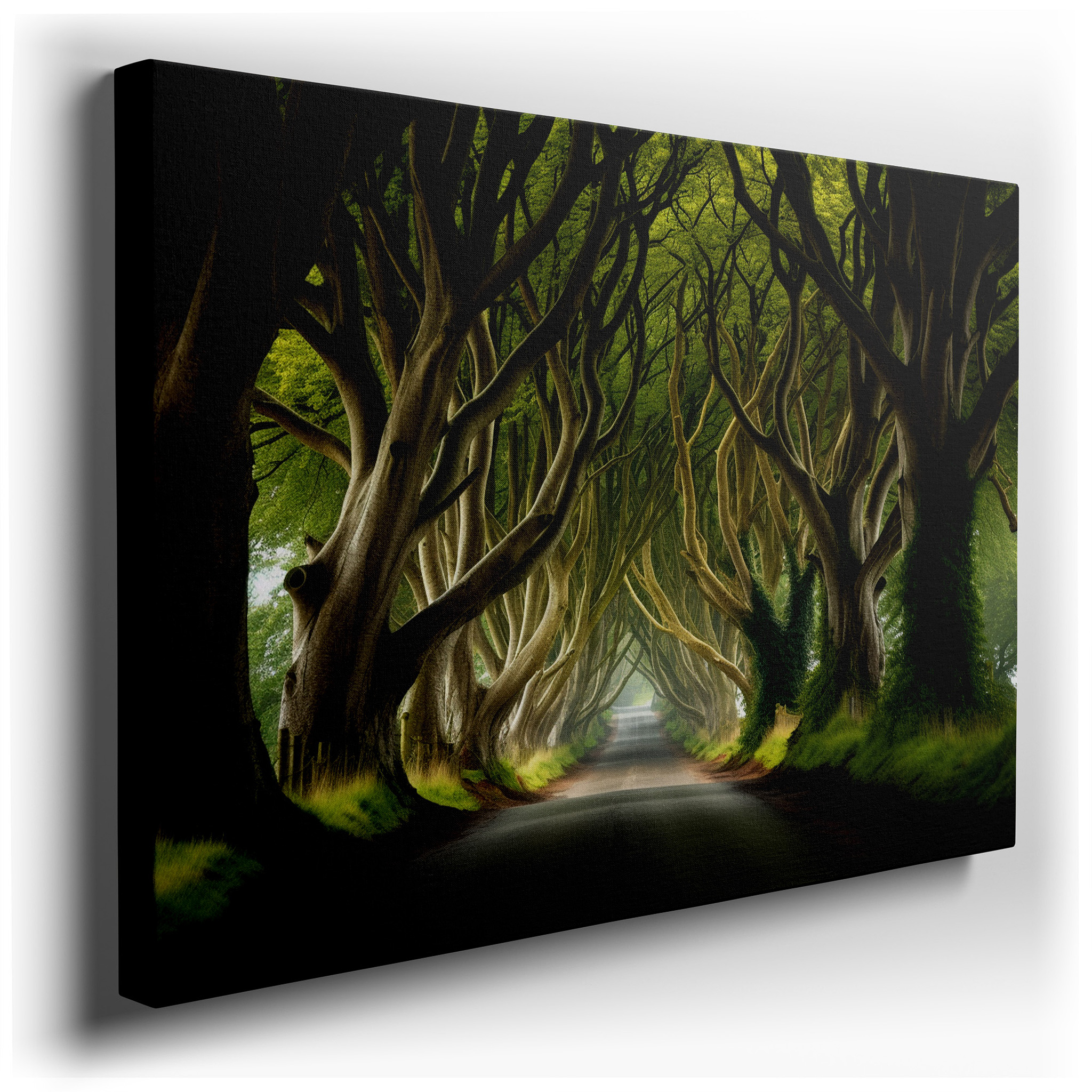 Enchanted Pathway Amidst Intertwined Trees: Tranquil Nature Journey Large Wall Art, Canvas Wall Art, Wall Decor for