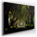 Enchanted Pathway - Tranquil Nature Canvas Wall Art