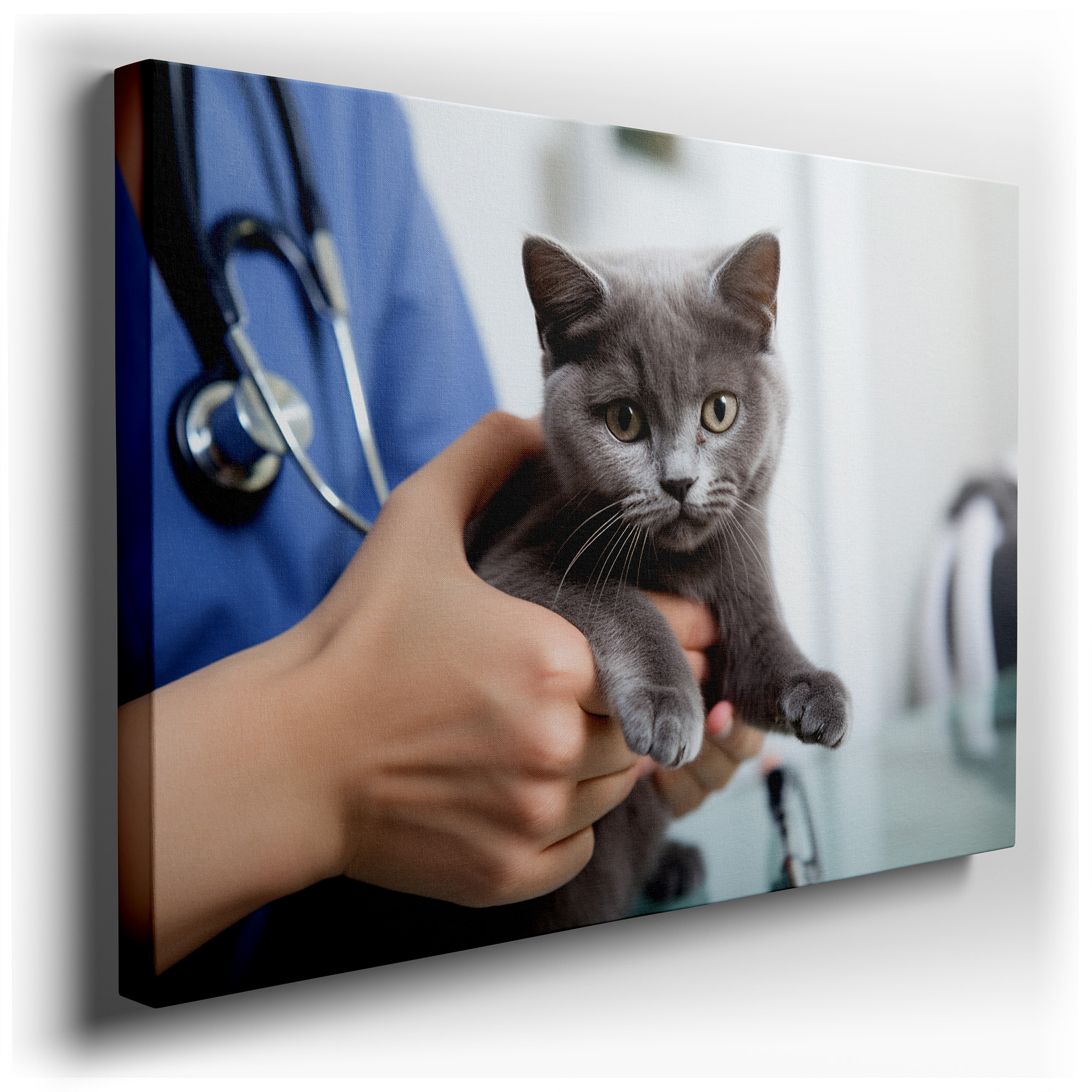 Gentle Care Moments - A Veterinarian's Soft Embrace with a Gray Kitten Wall Art, Large Canvas Decor for Office and