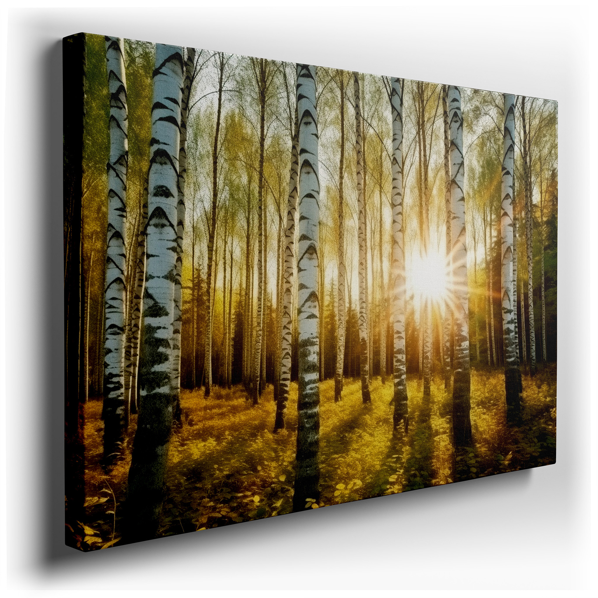Golden Hour Birch Forest - Slender Trees Bathed in Radiant Sunlight Large Wall Art, Canvas Wall Decor for Office and