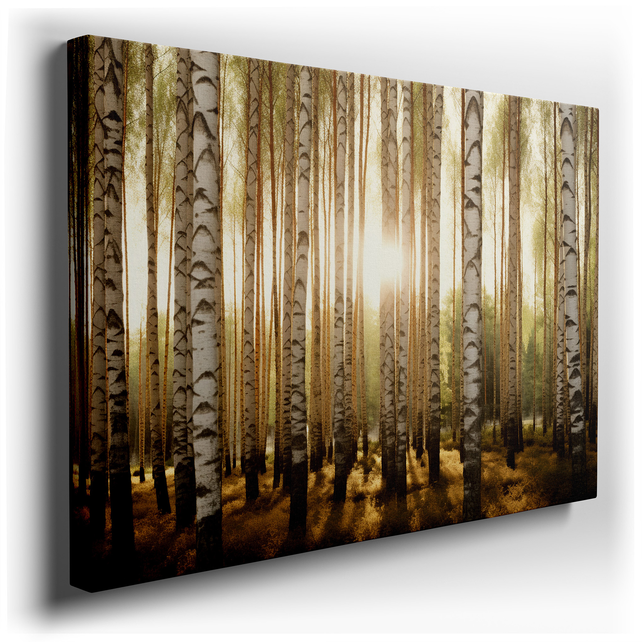 Golden Sunlight Serene Birch Forest, Tranquil Nature Sanctuary Large Wall Art, Canvas Wall Art, Wall Decor for Office
