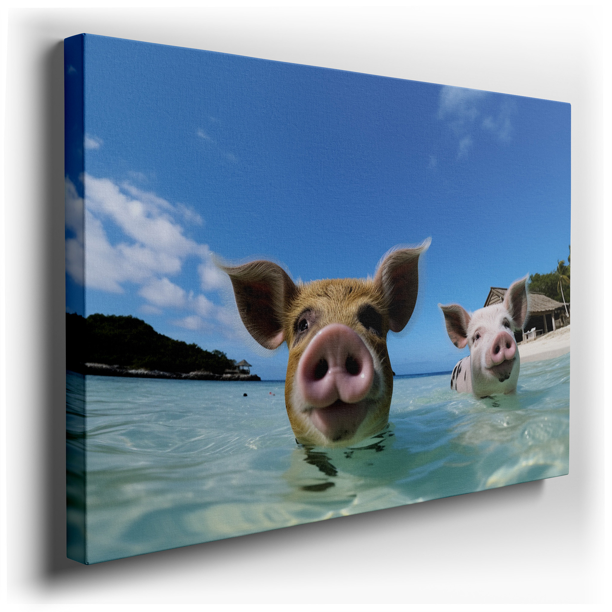 Joyful Piglets Playing in Tropical Waters Beneath a Blue Sky - Large Canvas Wall Art for Office, Bedroom, and Living