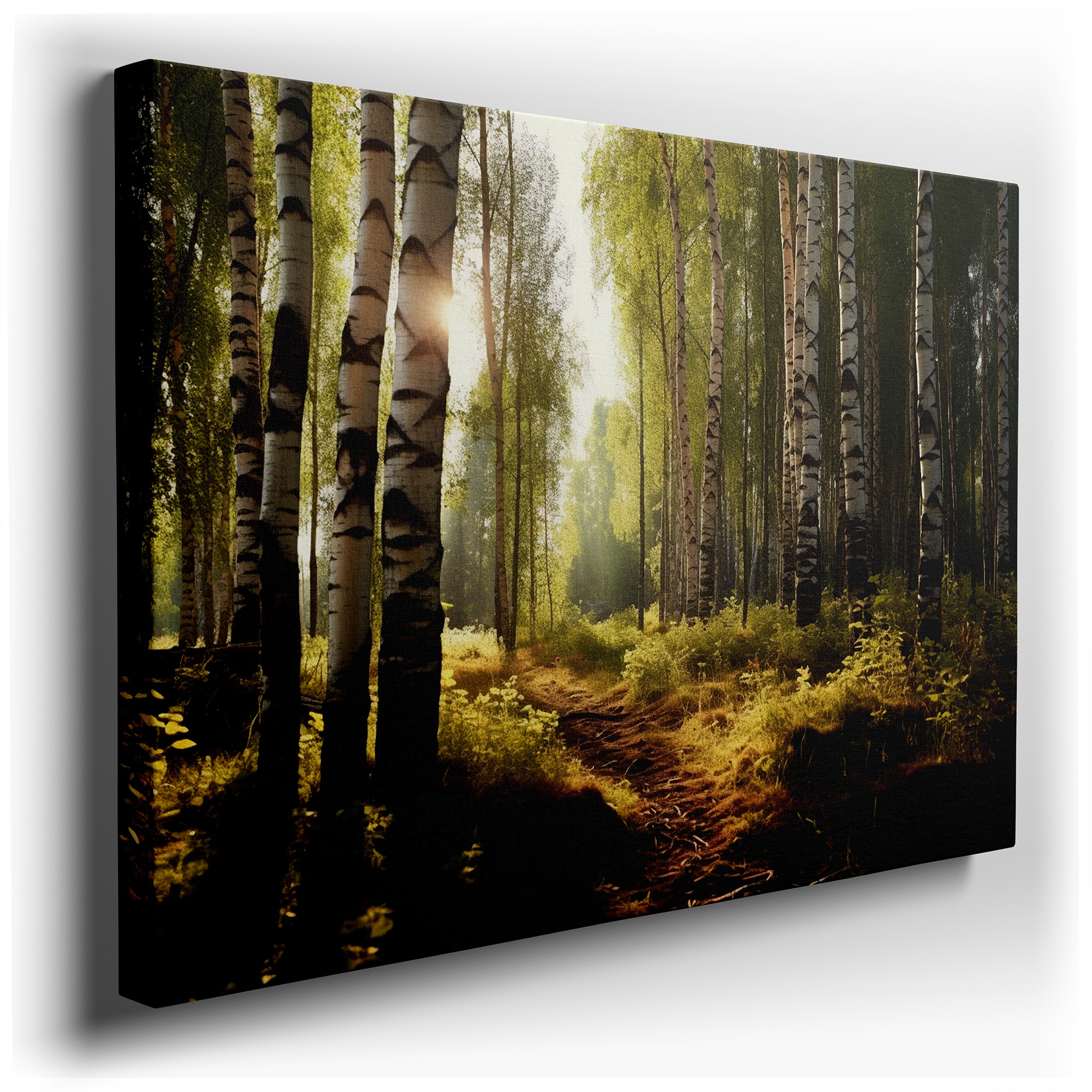 Majestic Birches and Dancing Light in a Lush Forest Sanctuary: Large Canvas Wall Art for Office, Living Room, and