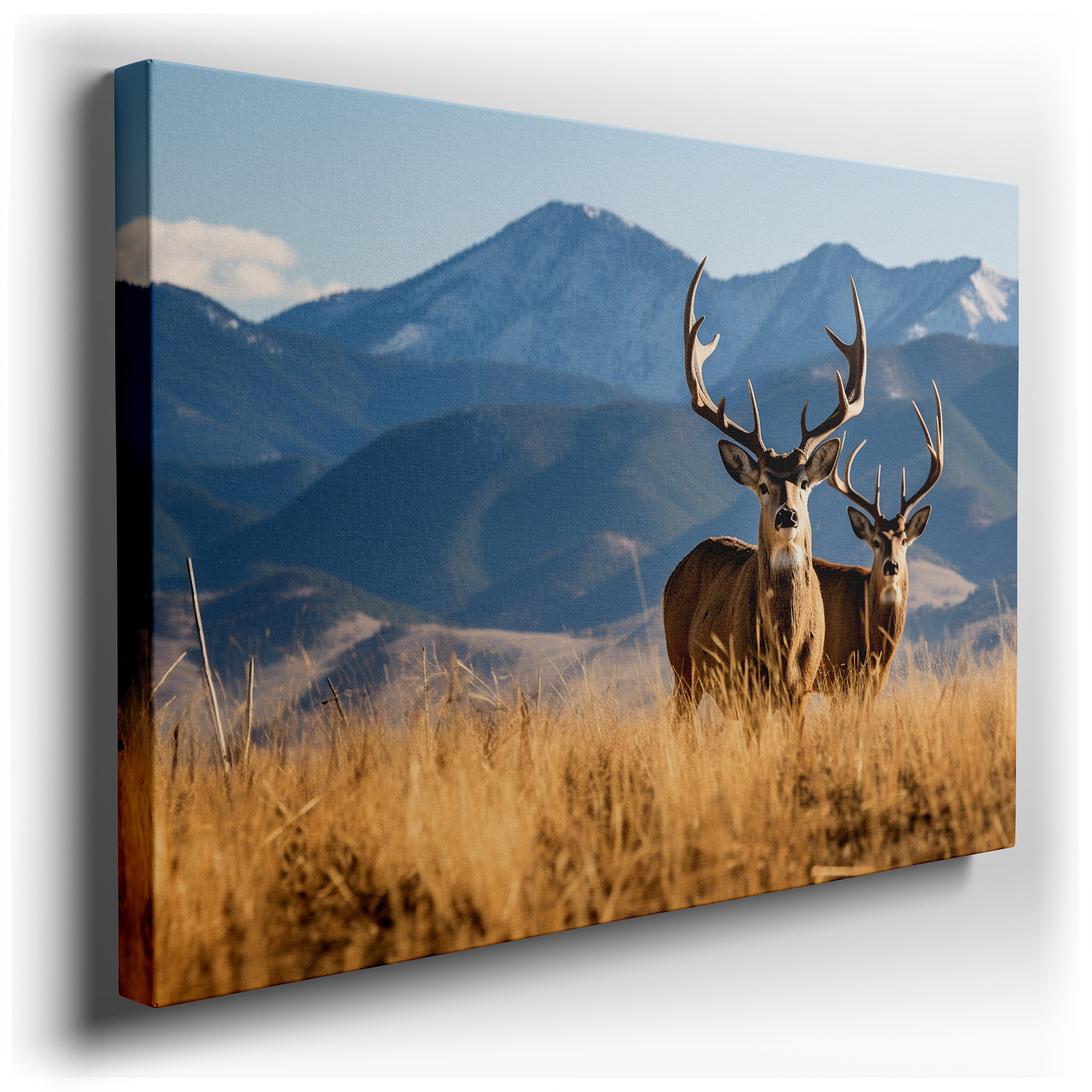 Majestic Deer in a Golden Meadow with Snow - Capped Mountains Large Canvas Wall Art for Office and Bedroom Decor