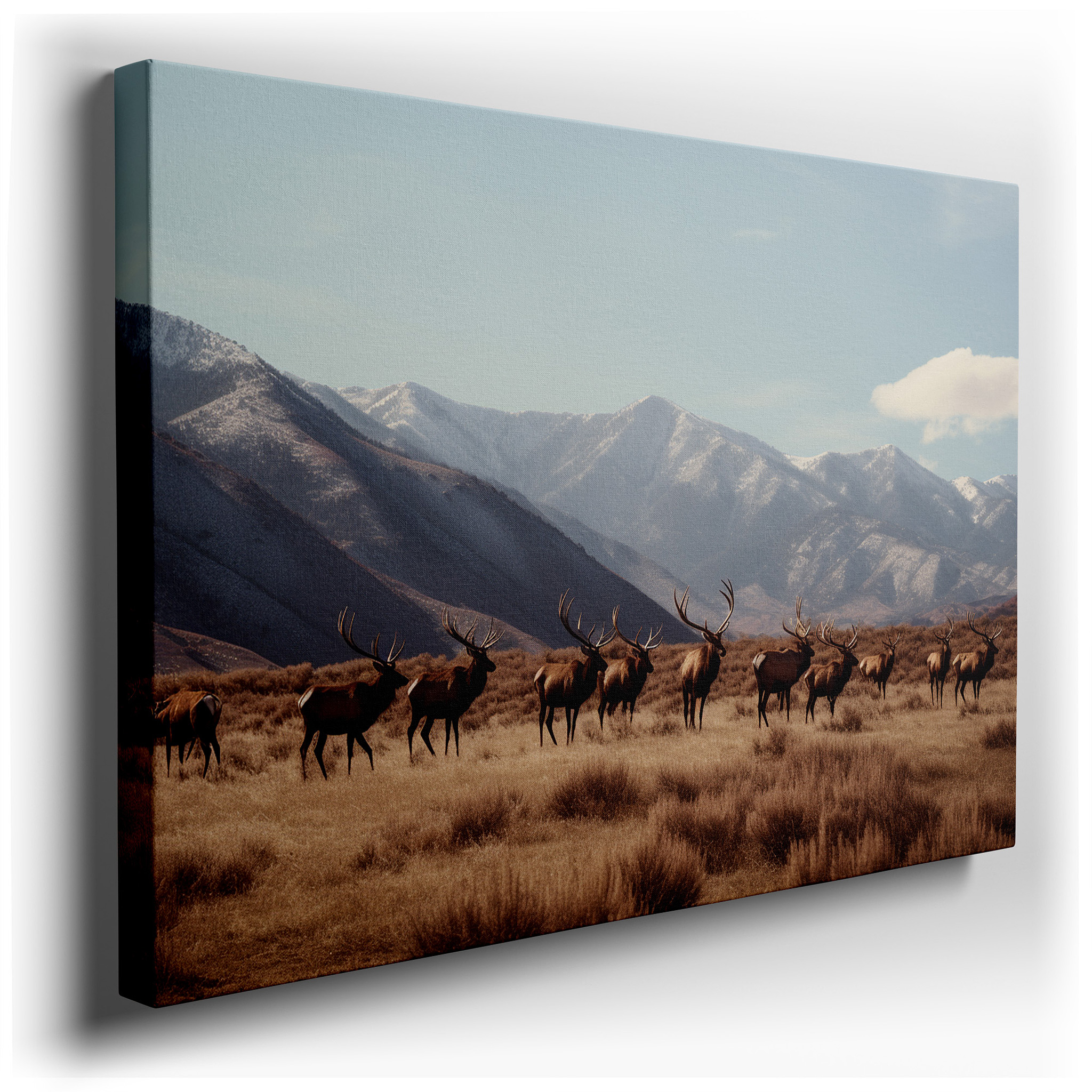 Majestic Elk Herd Grazing in Serene Mountain Landscape - Large Canvas Wall Art for Office, Bedroom, and Living Room