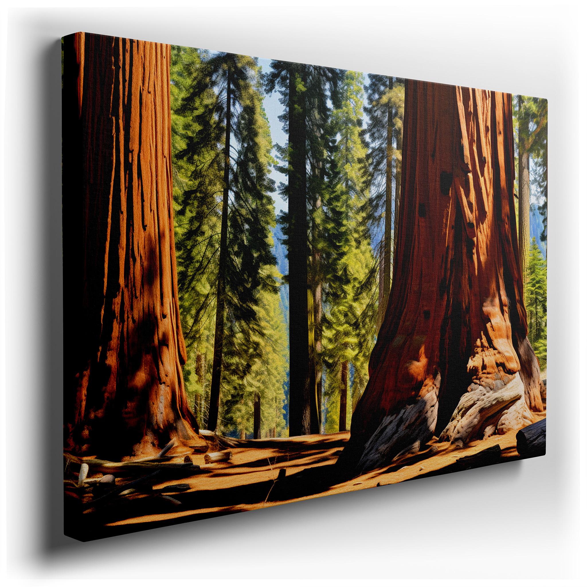 Majestic Sequoias and Serene Lighting - Peaceful Forest Haven Large Wall Art, Canvas Wall Art, Wall Decor for Office