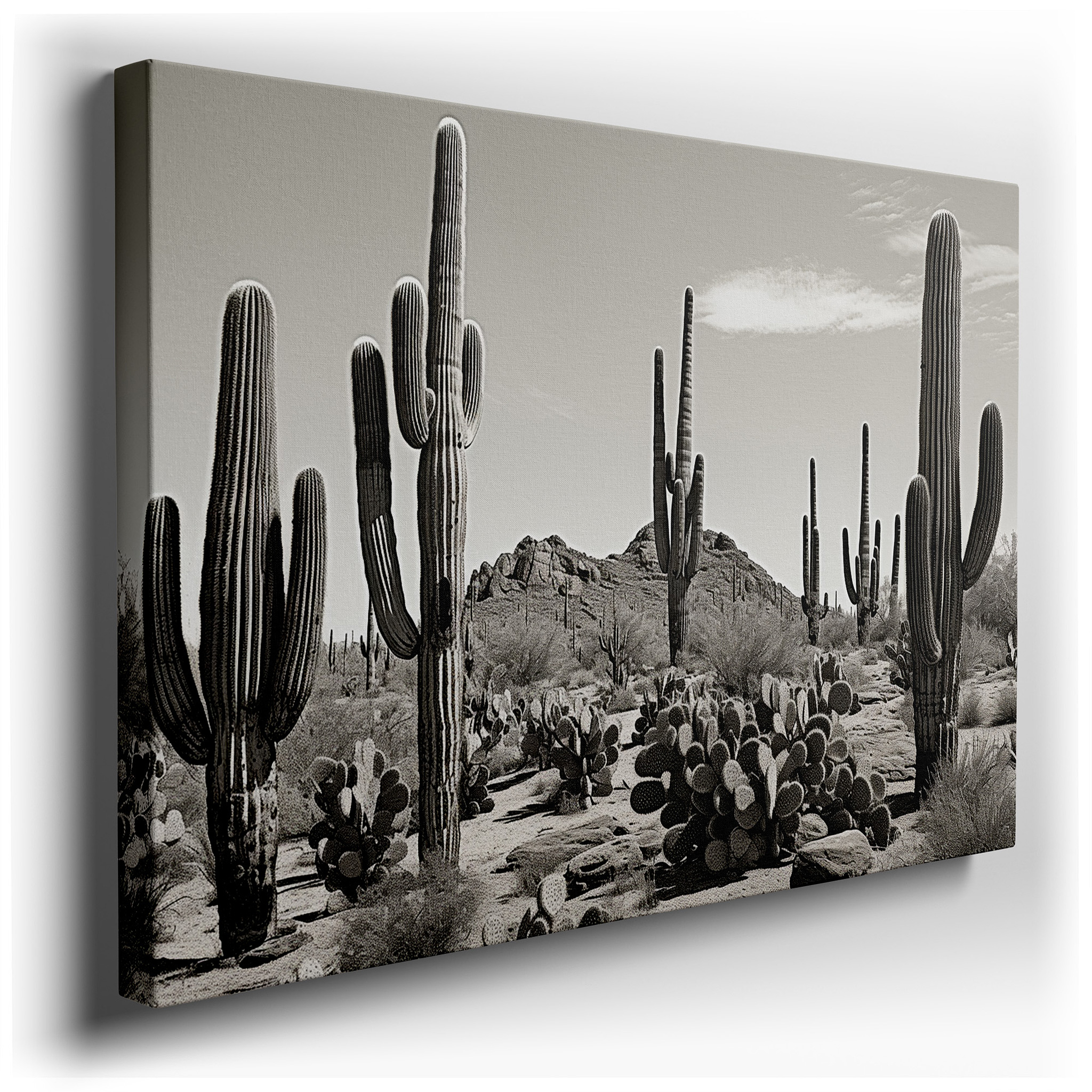 Monochrome Saguaro Cacti Majesty in a Peaceful Desert Landscape: Large Wall Art, Canvas Wall Art, Wall Decor for Office