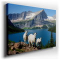 Mountain Goats on Rugged Terrain - Nature Wall Art