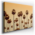 Palm Trees at Sunset - Tranquil Tropical Canvas Wall Art