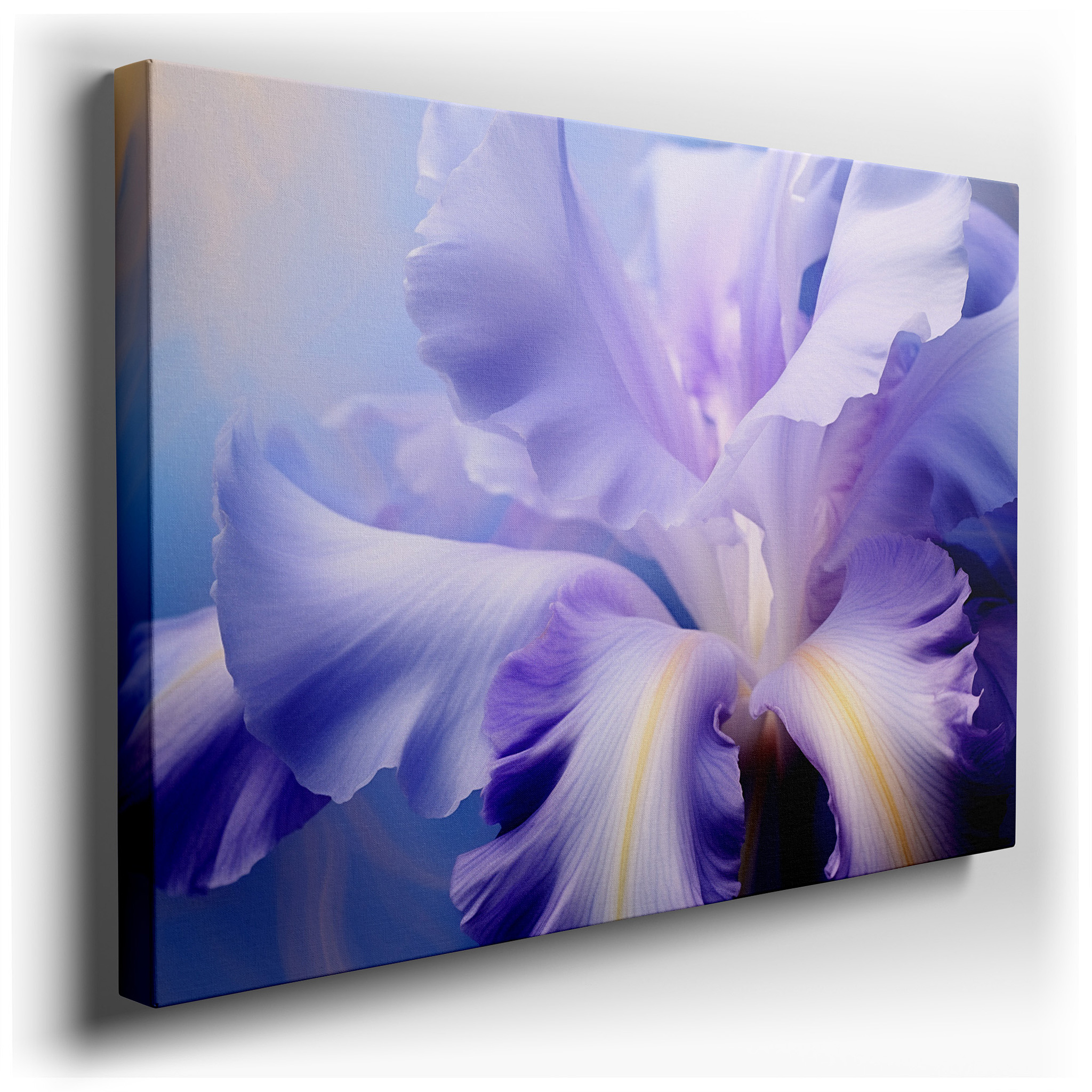 Purple Iris Close - Up: Serene Masterpiece for Tranquil Spaces - Large Canvas Wall Art Ideal for Office and Bedroom