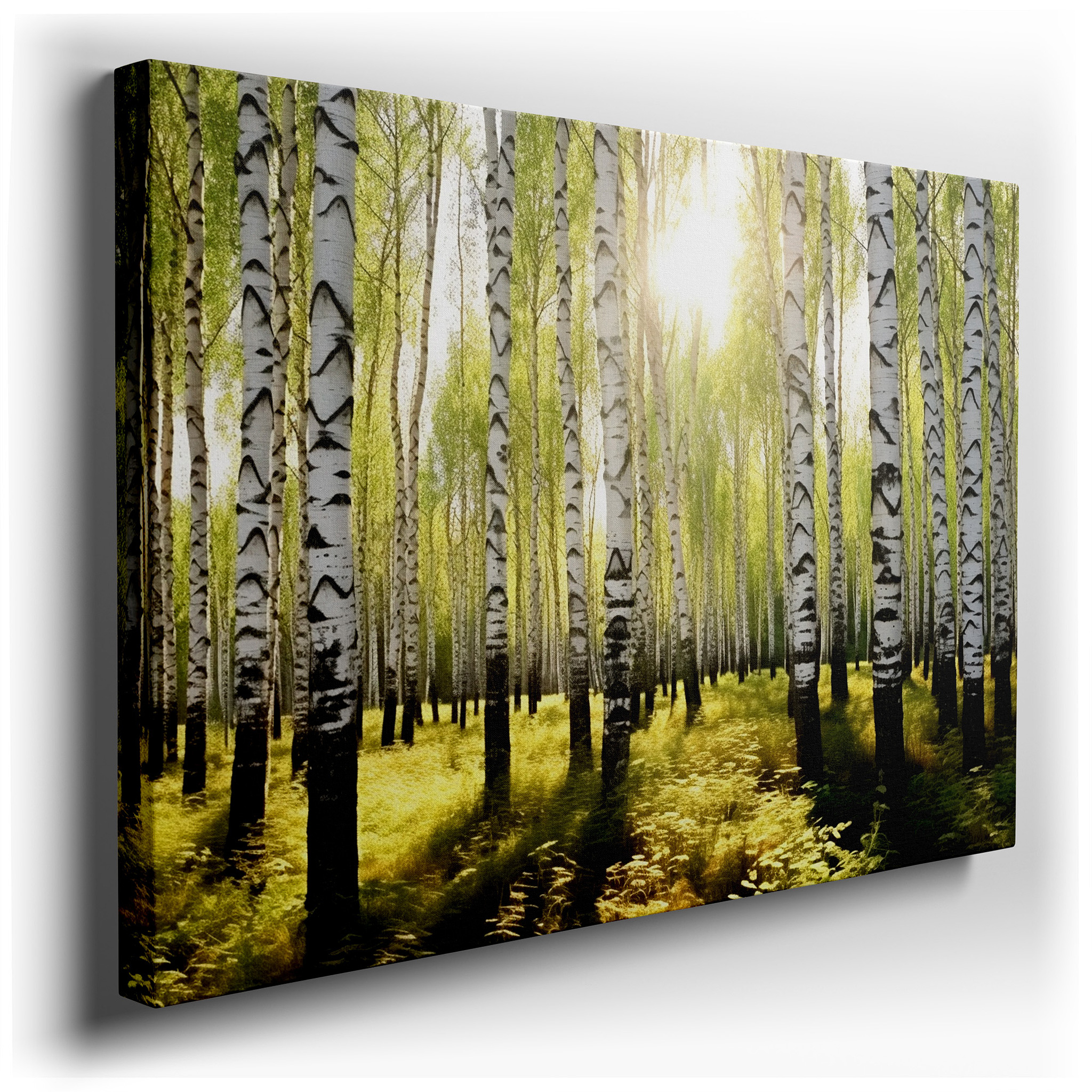 Serene Birch Forest in Sunlight: A Play of Light and Shadows, Large Canvas Wall Art for Home and Office Decor wrapped