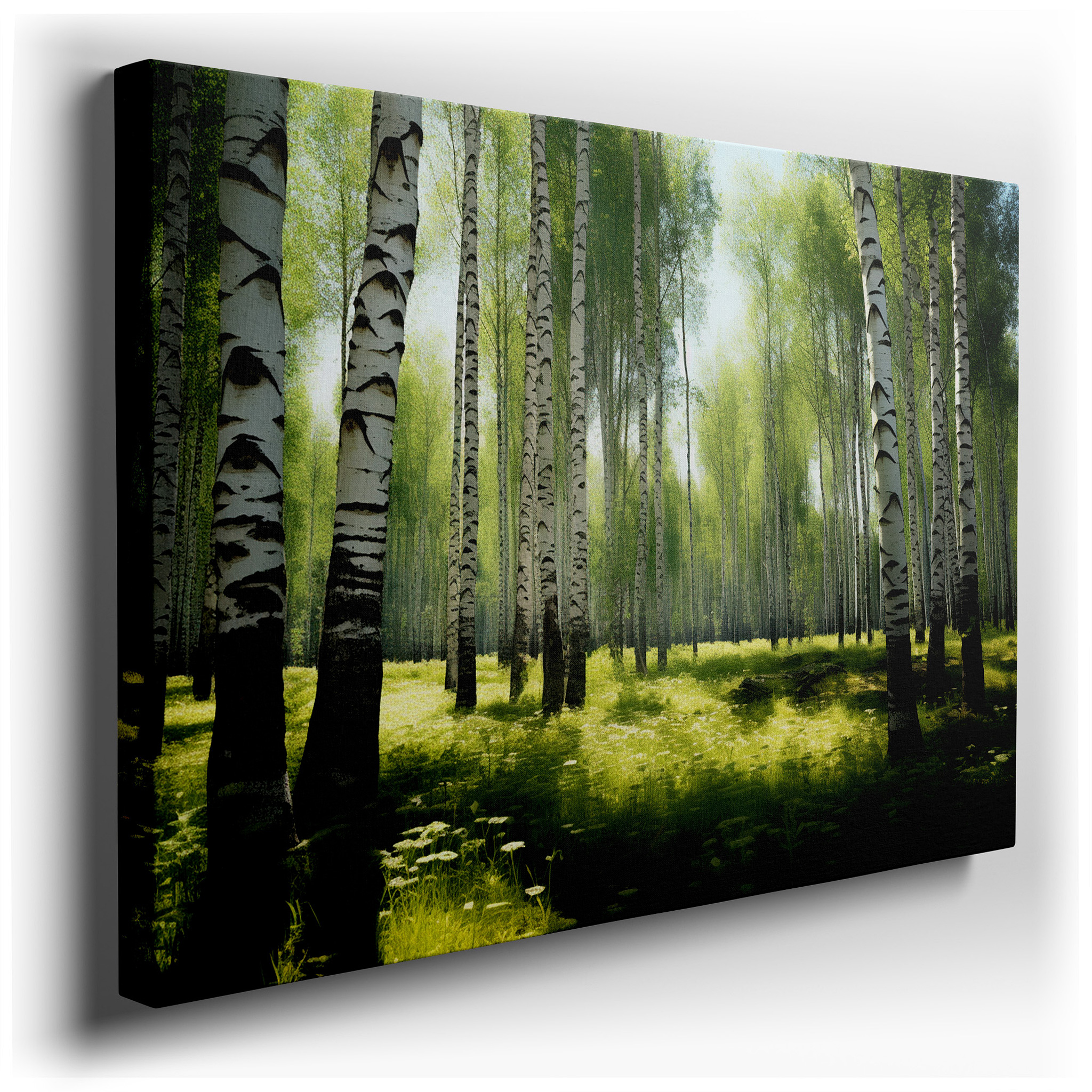 Serene Birch Forest - Peaceful Woodland Escape for Quiet Reflection: Large Wall Art, Canvas Wall Art, Wall Decor,