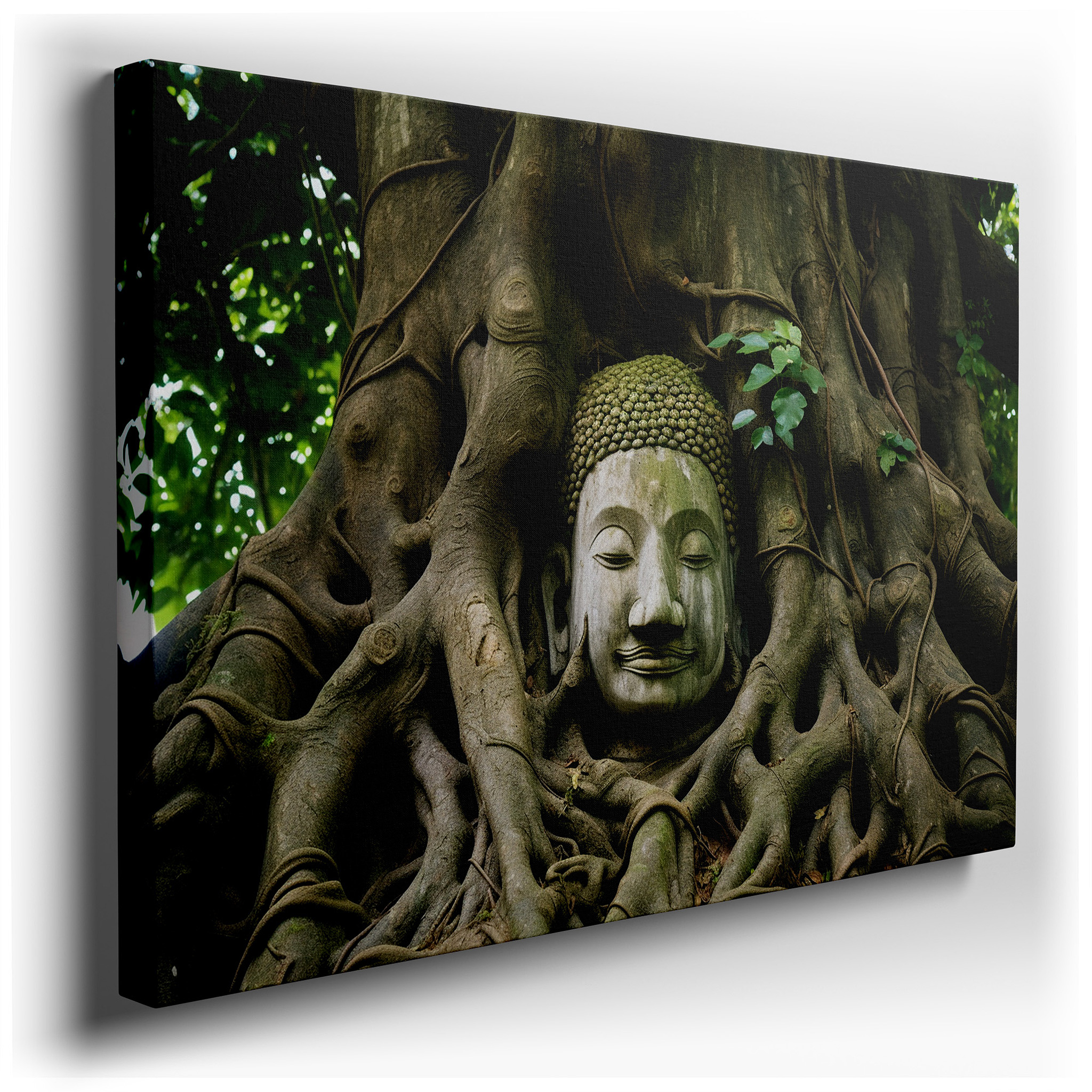 Serene Buddha Amidst Ancient Roots - Tranquility and Wisdom Themed Large Wall Art, Canvas Wall Art, Wall Decor for