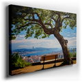 Tranquil Bench Under a Grand Tree - Nature Fusion Canvas Wall Art