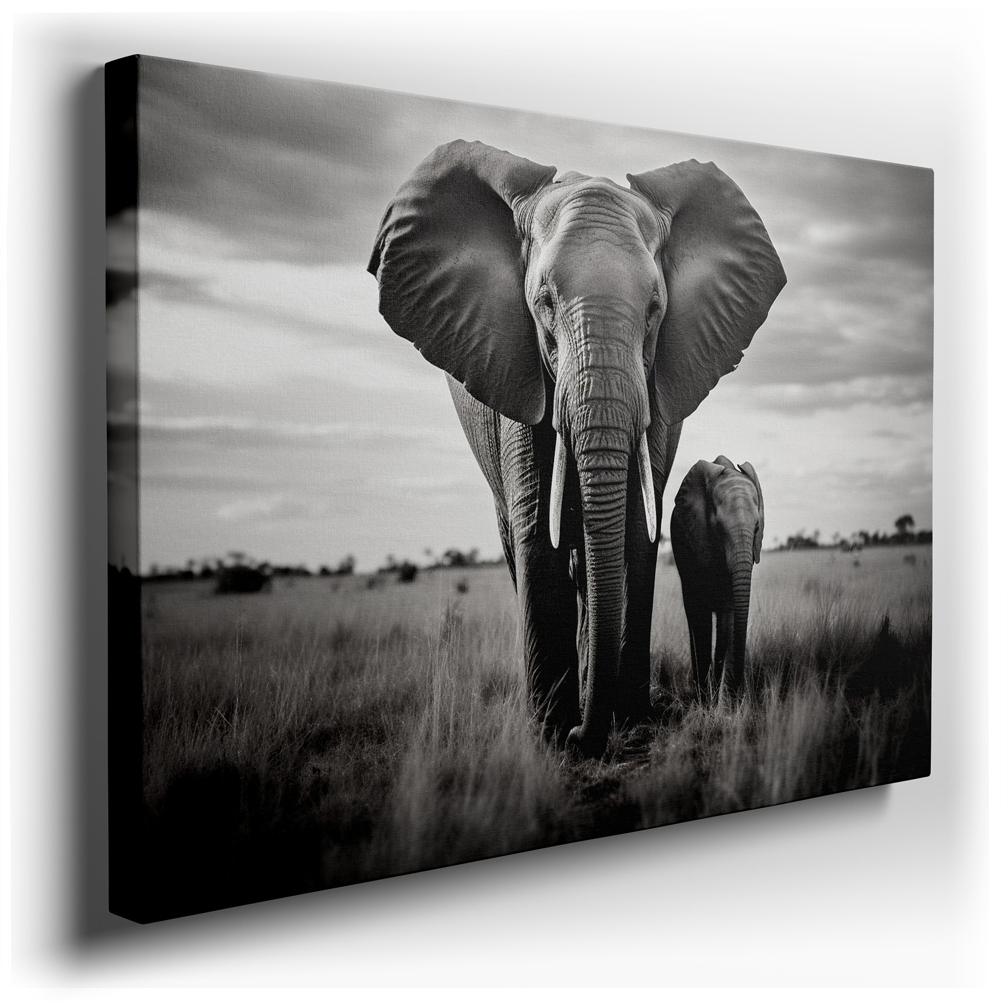 Serene Elephants Beneath a Cloudy Sky - Tranquil Wildlife Scene Large Wall Art, Canvas Wall Art, Wall Decor for Office