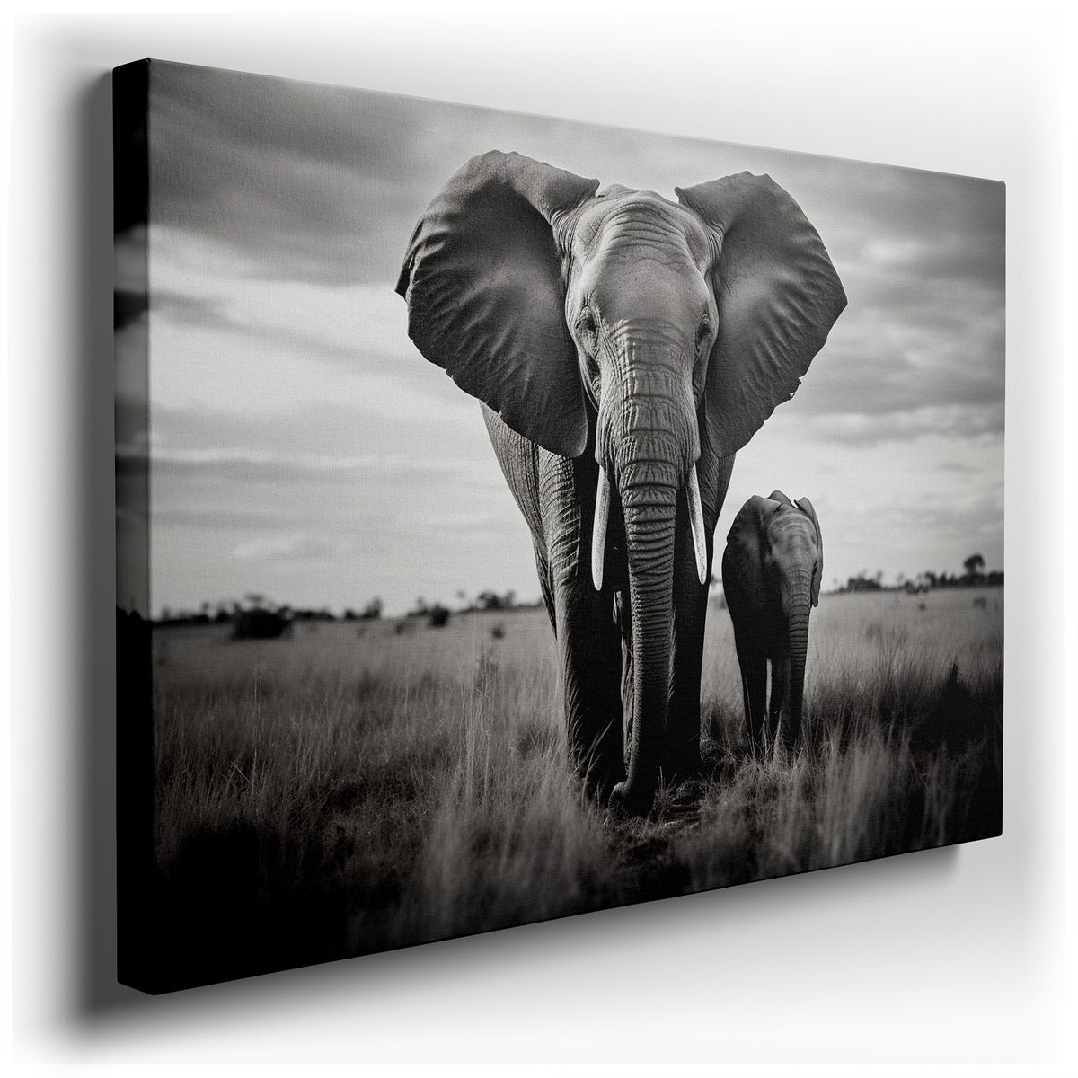 Serene Elephants - Monochrome Canvas Wall Art