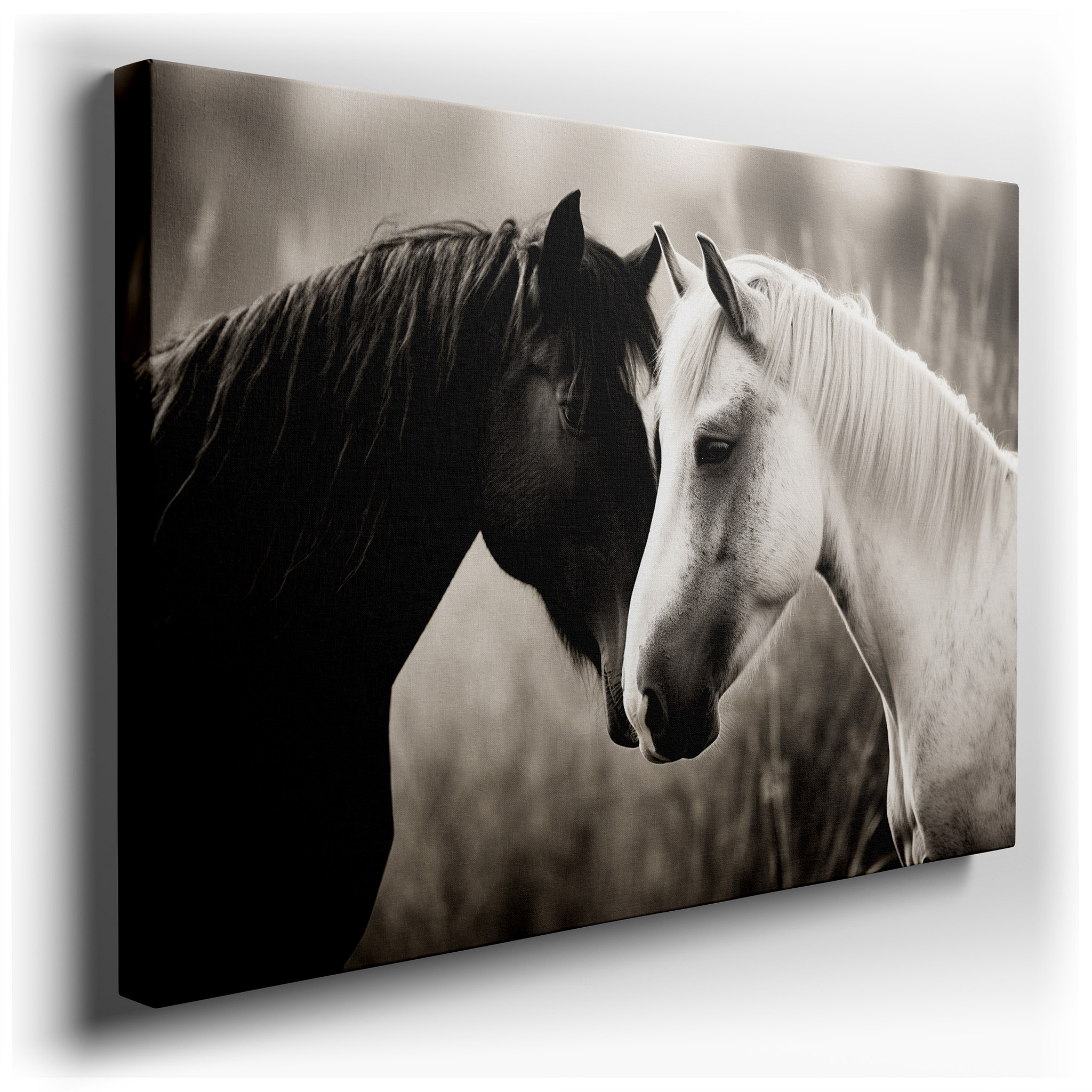 Serene Embrace: Two Horses Symbolizing Friendship and Peace - Large Canvas Wall Art for Home and Office Decor wrapped
