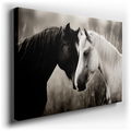 Serene Embrace - Black and White Canvas Wall Art