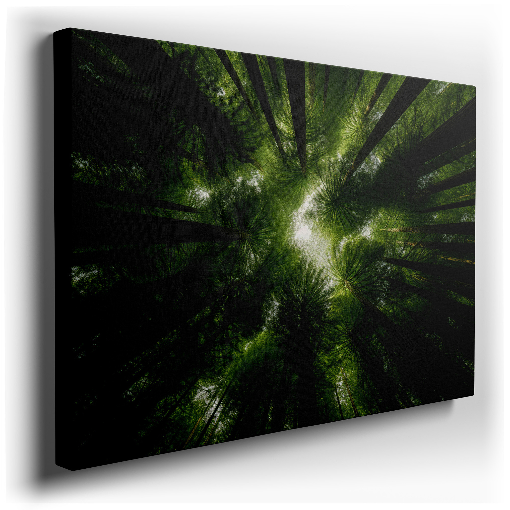Serene Forest Canopy: Tranquil Views of Lush Greenery and Radiant Skies - Large Canvas Wall Art for Home and Office