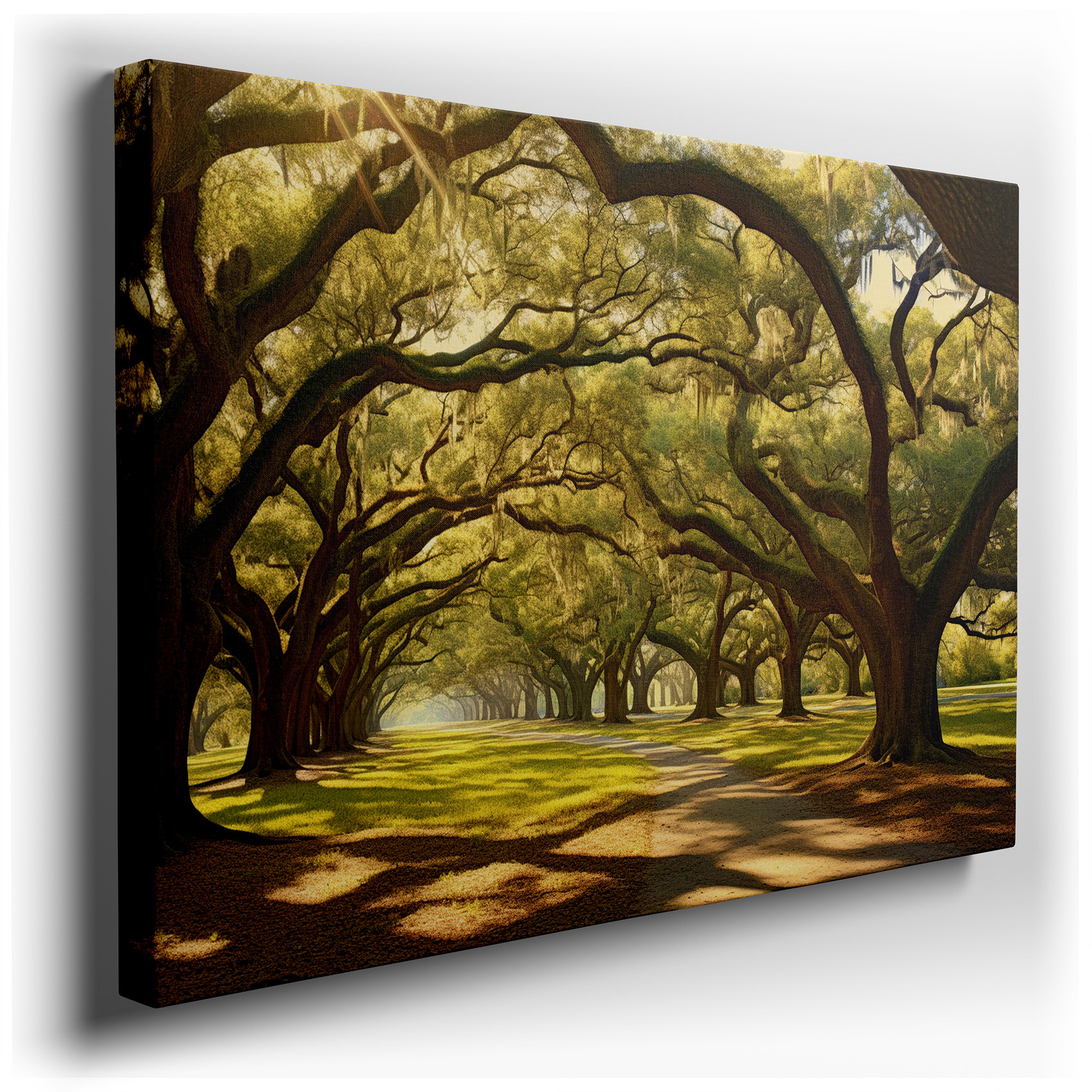 Serene Forest Path Under Majestic Oak Canopy: A Tranquil Realm of Light and Shadow - Large Canvas Wall Art for Home and