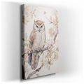 Owl and Cherry Blossoms - Nature's Tranquility - Canvas Wall Art