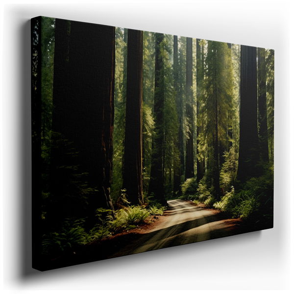 Serene Pathway Through Ancient Redwoods - Tranquil Nature Canvas Wall Art
